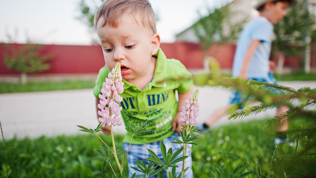 Alérgenos y niños Foto de un niño pequeño delante de una flor