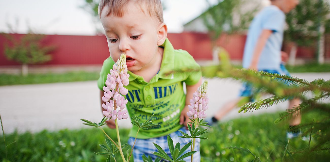 Allergens and Children Photo of Young Child in Front of Flower