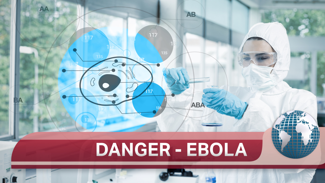 Ebola virus therapeutics