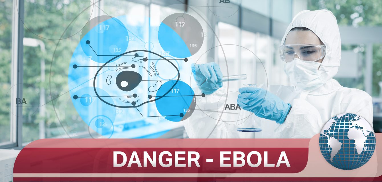 Ebola virus therapeutics