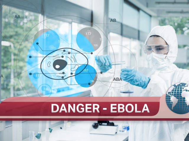 Ebola virus therapeutics