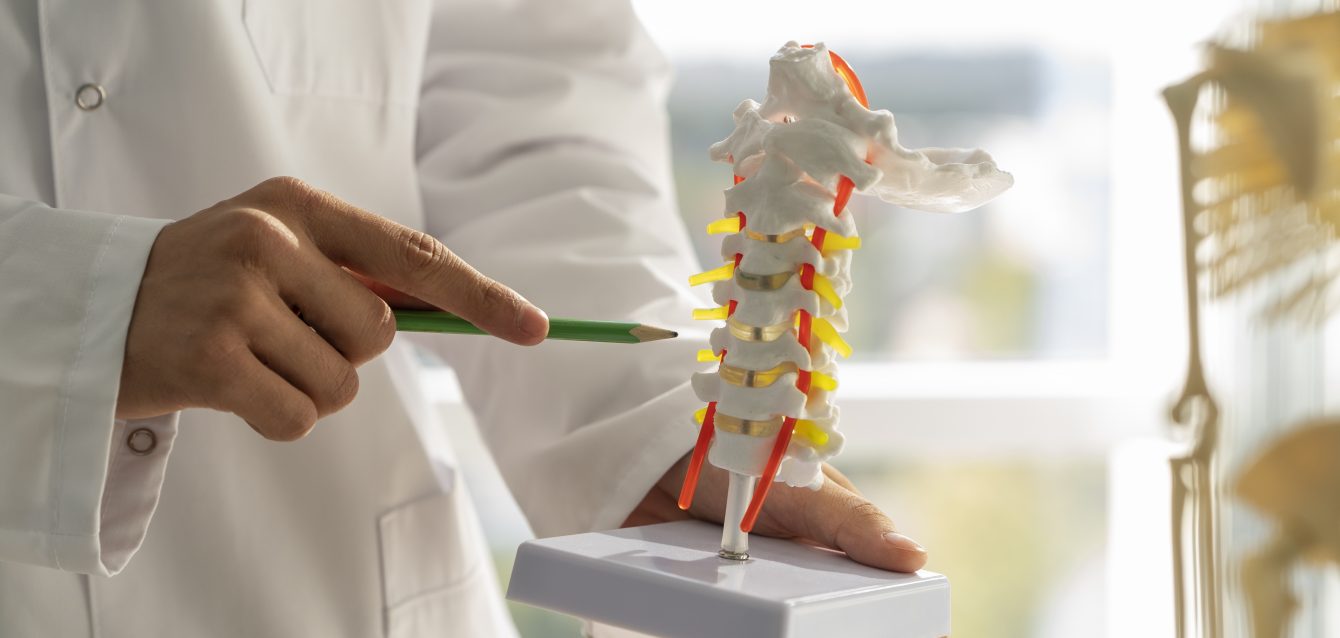 Bone metastases Bone metastases