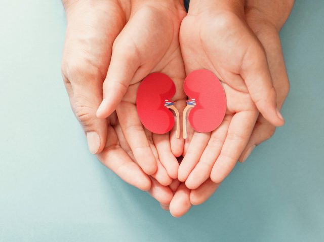 kidney damage kidney damage