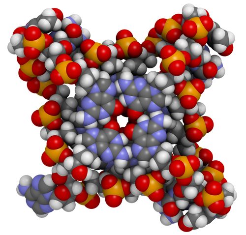 shutterstock_139219193