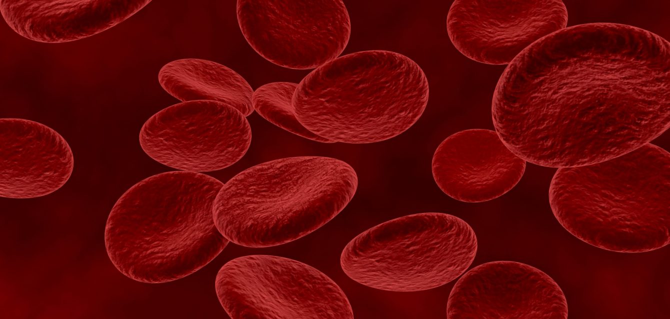 Targeted cancer therapy