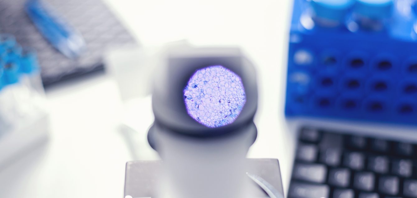 Herramienta de diagnóstico molecular Herramienta de diagnóstico molecular