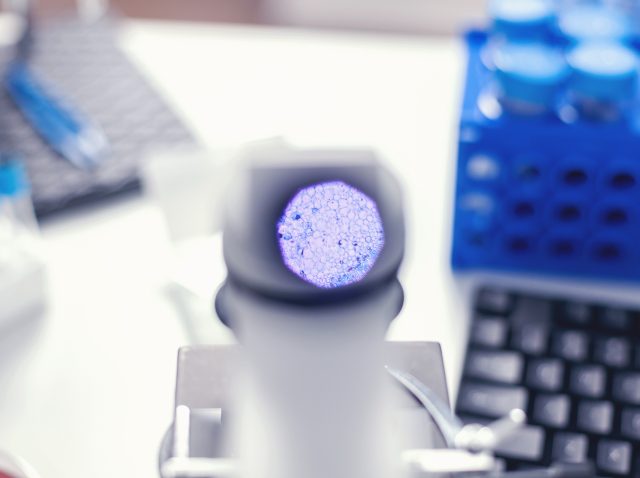 Molecular Diagnostic Tool Molecular Diagnostic Tool