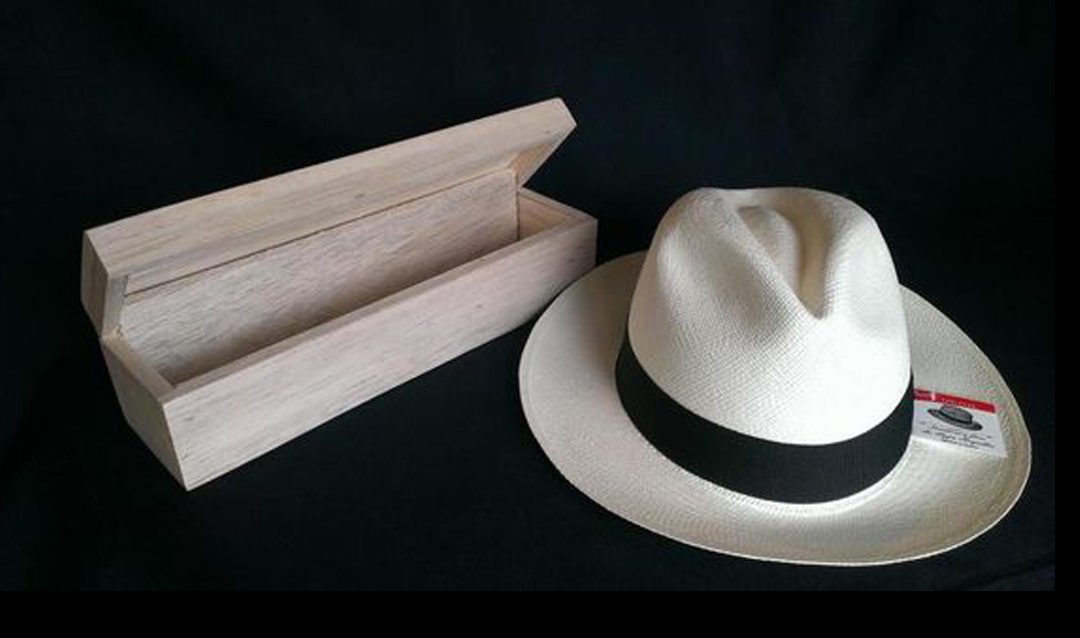 Ecuadorian straw hat