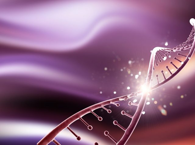 Antígeno leucocitario humano Antígeno leucocitario humano