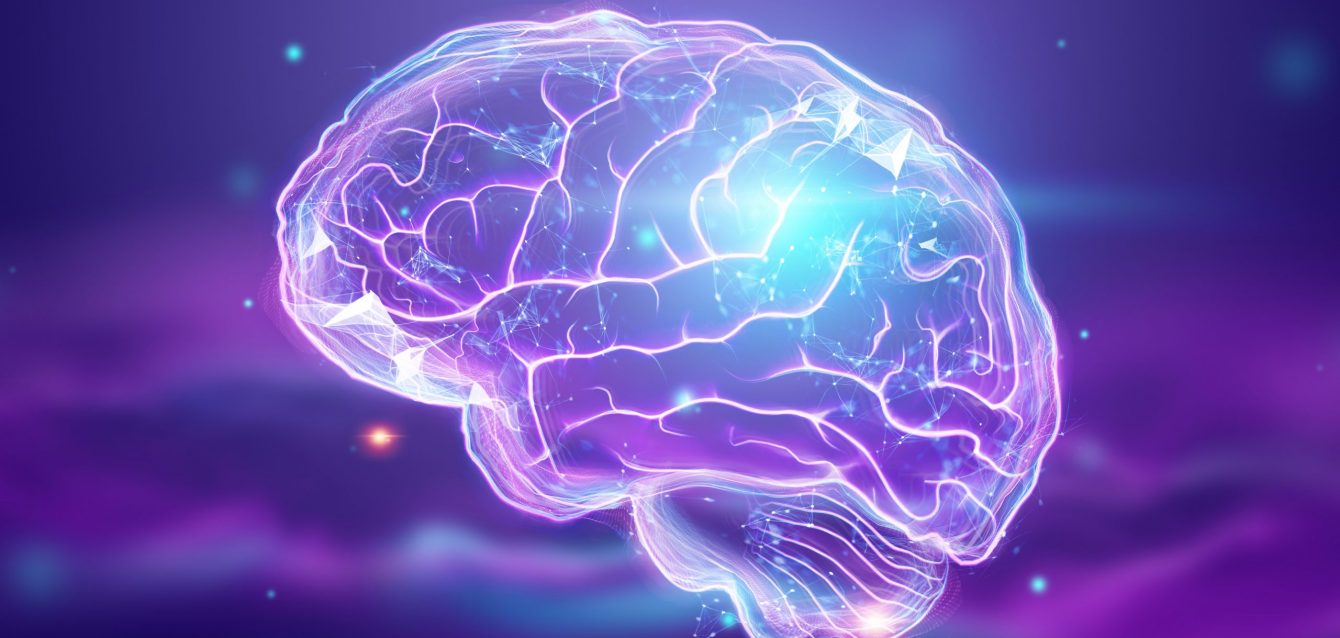 Niemann-Pick type C Diabetic Brain Changes