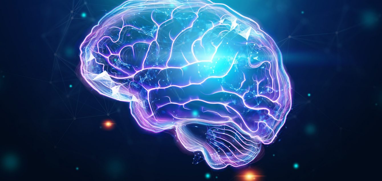 Ciclos de actividad cerebral Ciclos de actividad cerebral