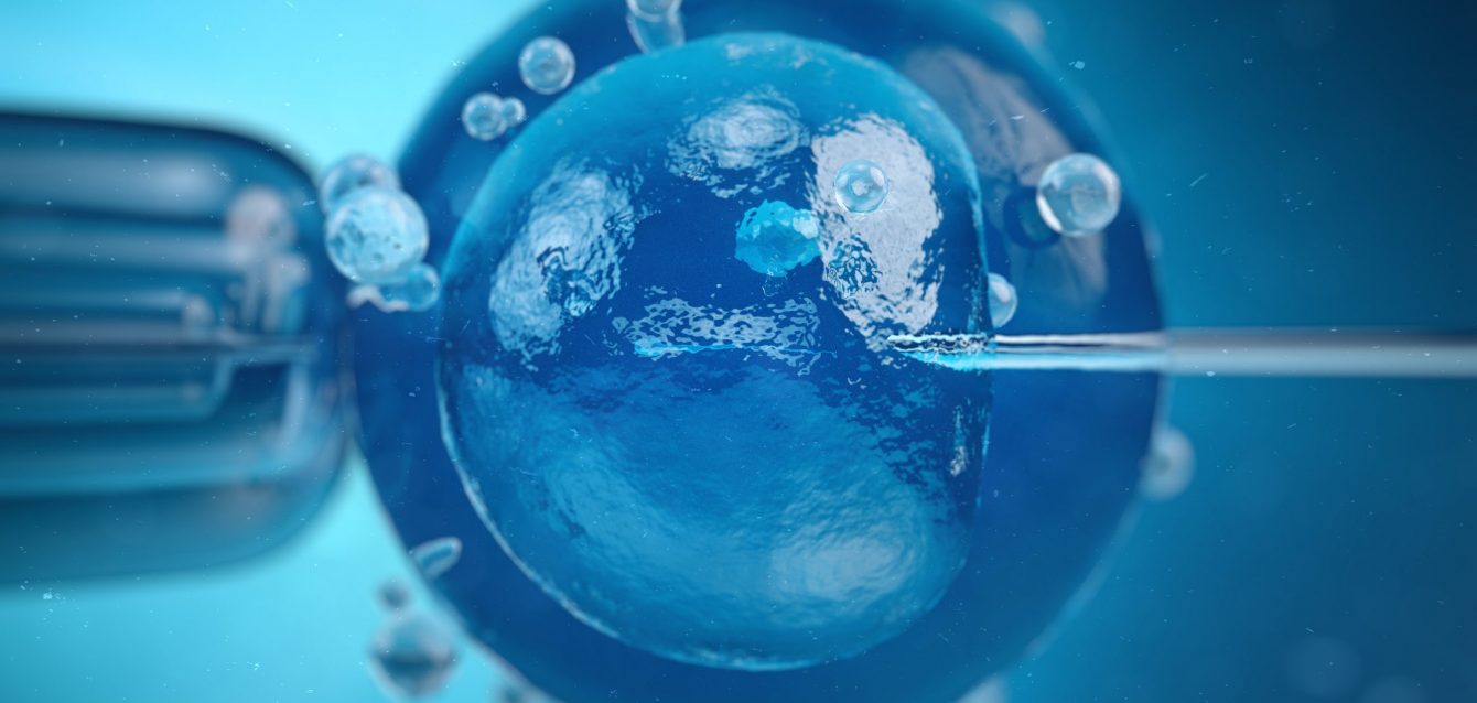 Zika virus treatment