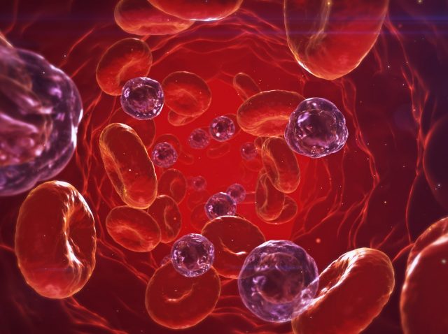 3d-illustration-background-advertising-wallpaper-health-microbiology-scene-3d-rendering-decorative-concept