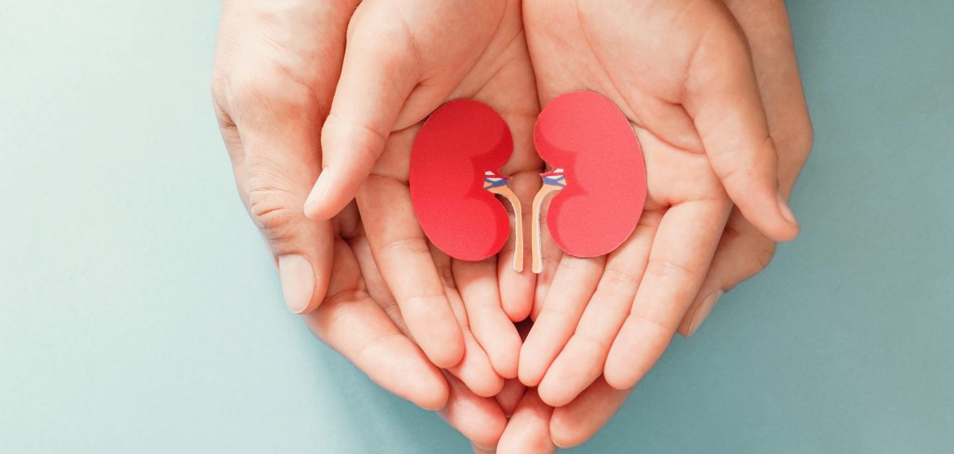 Adult and child holding kidney shaped paper, world kidney day, N Adult and child holding kidney shaped paper, world kidney day, N