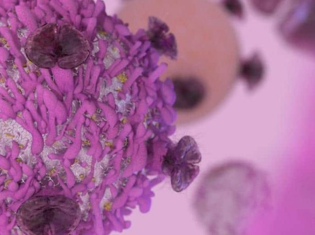 Rare Immune Disease Rare Immune Disease