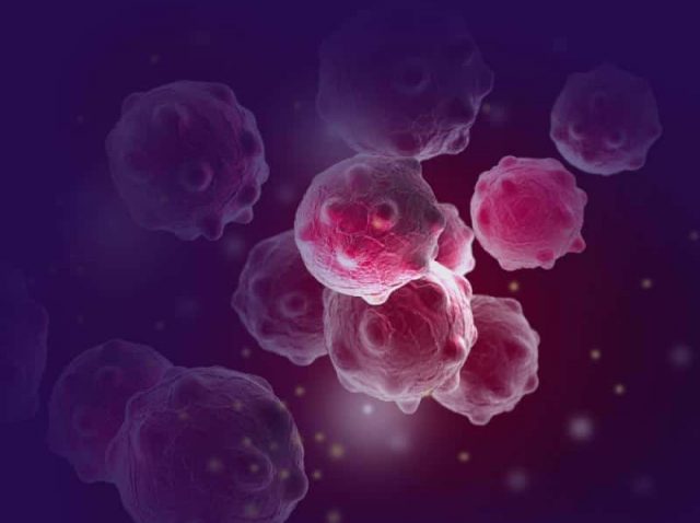 tumor suppressor tumor suppressor