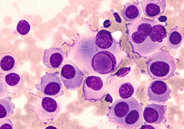 shutterstock_660802081 shutterstock_660802081