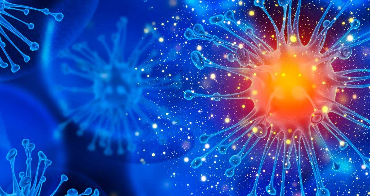 Chemical Probe can Regulate Signaling Pathway and Block Cell Invasion by Arboviruses