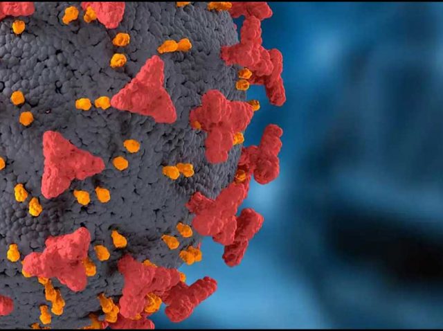 Covid-19 Virus Cell Images Photo