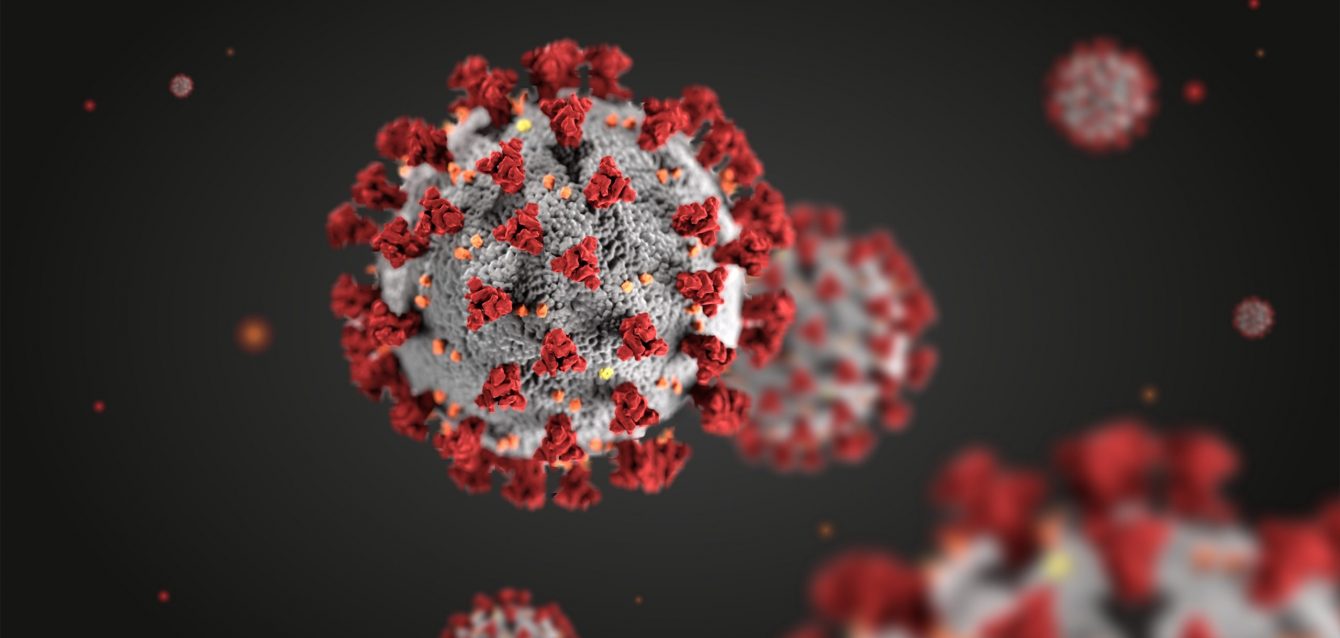 Coronavirus structural morphology
