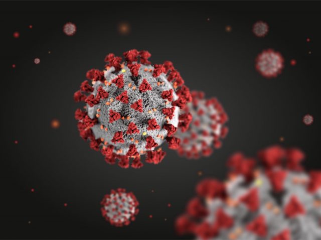 Coronavirus structural morphology Coronavirus structural morphology