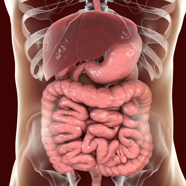 Ulcerative Colitis Trial