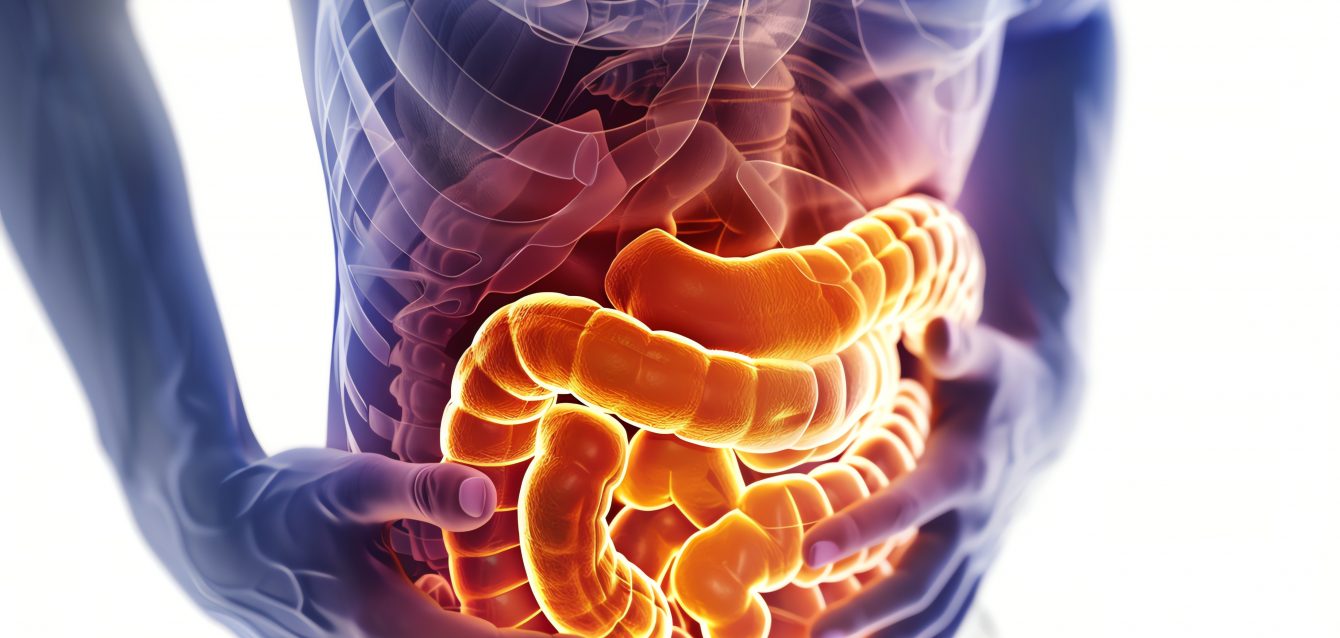 3D medical illustration of human intestines glowing with internal light. 3D medical illustration of human intestines glowing with internal light.