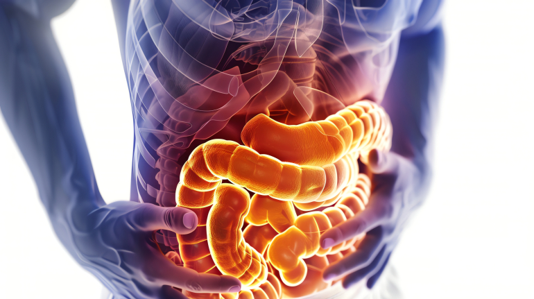 3D medical illustration of human intestines glowing with internal light.