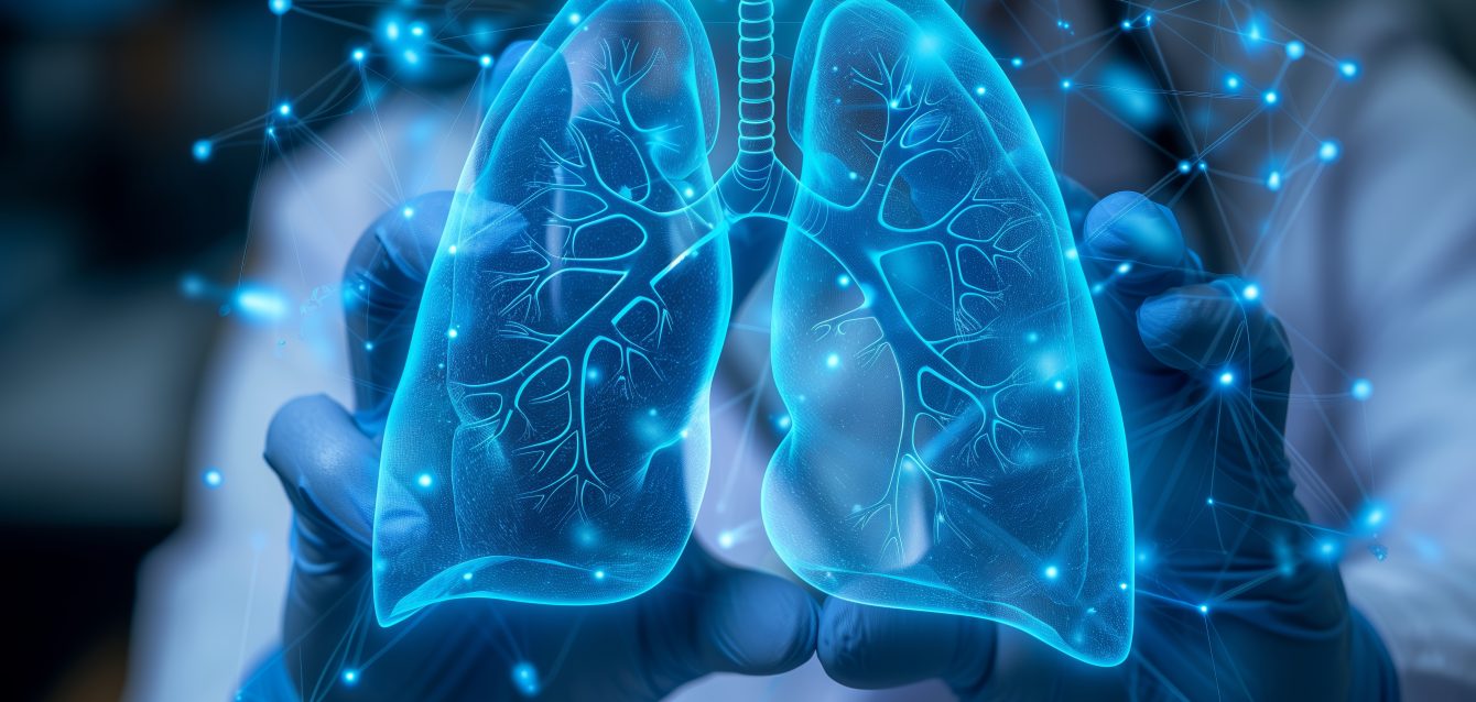 Doctor Holding a 3D Model of Human Lungs