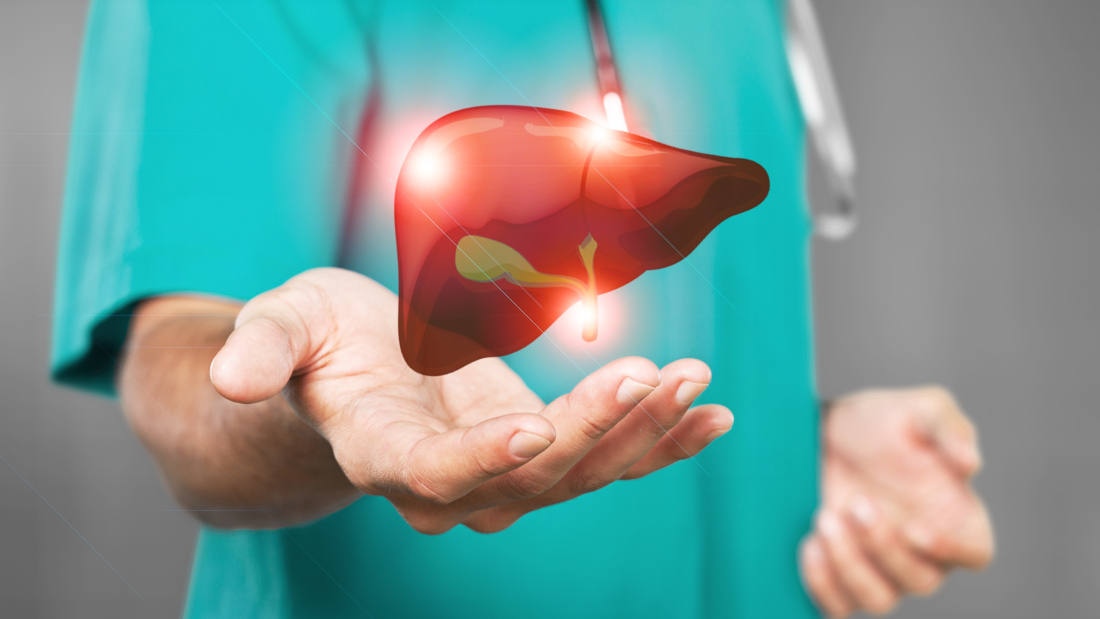 A doctor touches virtual Liver in hand. Healthcare hospital service concept