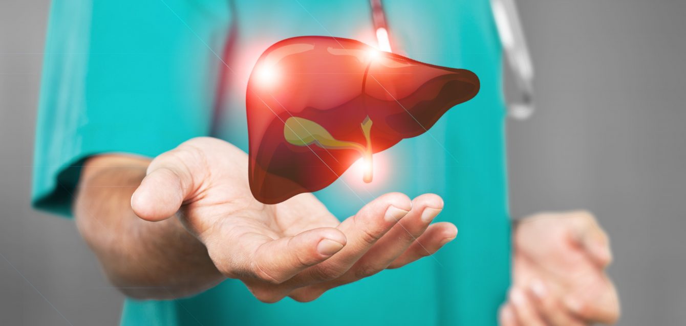 A doctor touches virtual Liver in hand. Healthcare hospital service concept Un médico toca un hígado virtual con la mano. Concepto de servicio hospitalario sanitario.