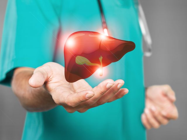 Un médico toca un hígado virtual con la mano. Concepto de servicio hospitalario sanitario.