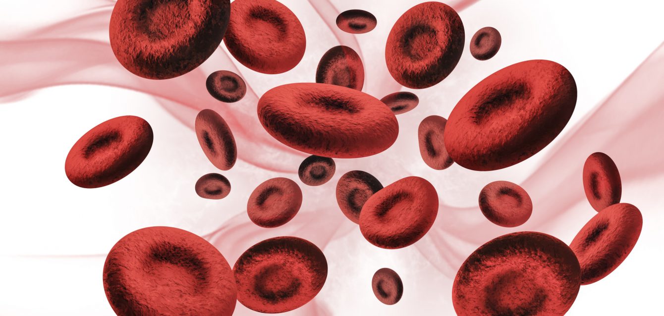 Glóbulos rojos en 3D fluyendo por las venas.