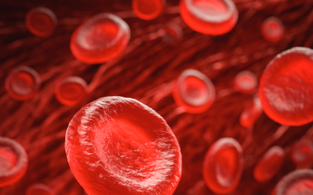 Banco de imágenes - 29/12/2024 23:27:47.983