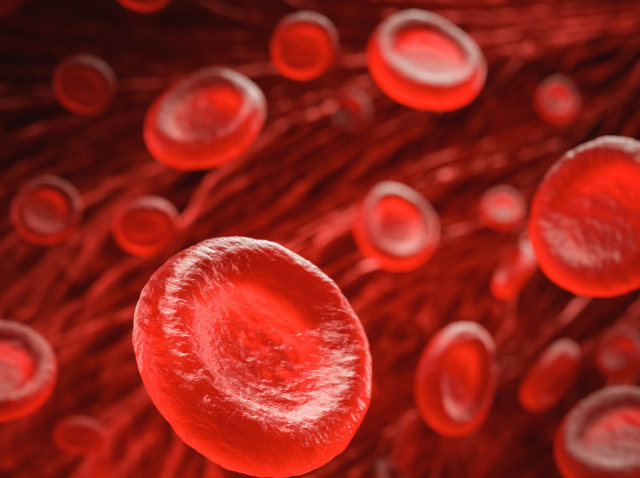 Banco de imágenes - 29/12/2024 23:27:47.983 Banco de imágenes - 29/12/2024 23:27:47.983