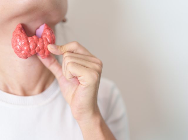 Mujer sosteniendo un modelo anatómico de tiroides humana con su cuello. Hipertrofia. Mujer sosteniendo un modelo anatómico de tiroides humana con su cuello. Hipertrofia.