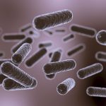 Vista microscópica de bacterias intestinales con forma de bastón flotando en el entorno intestinal.