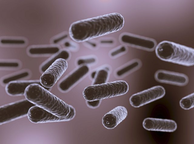 Microorganismos en 3D Vista microscópica de bacterias intestinales con forma de bastón flotando en el entorno intestinal.