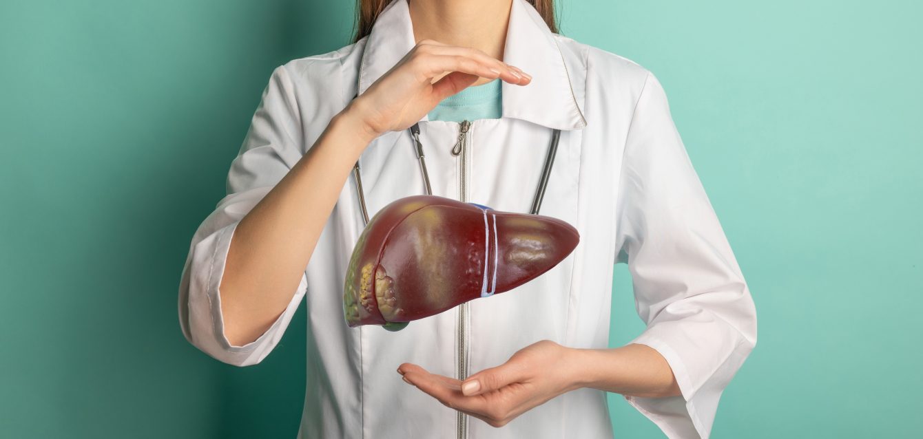 Mujer doctora sosteniendo un modelo 3D de un hígado humano, que simboliza el cuidado del hígado y la investigación clínica.