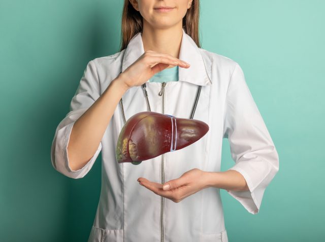Mujer sosteniendo un hígado en las manos. Concepto de ayuda y cuidado. Mujer doctora sosteniendo un modelo 3D de un hígado humano, que simboliza el cuidado del hígado y la investigación clínica.