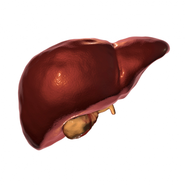 Images-Stock-2023-11-06T124019.096