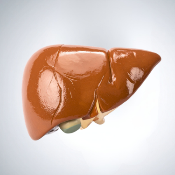 Nash-NCT06632444 (1)