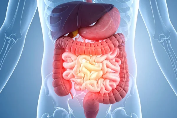 Ulcerative_Colitis_-_NCT07296315
