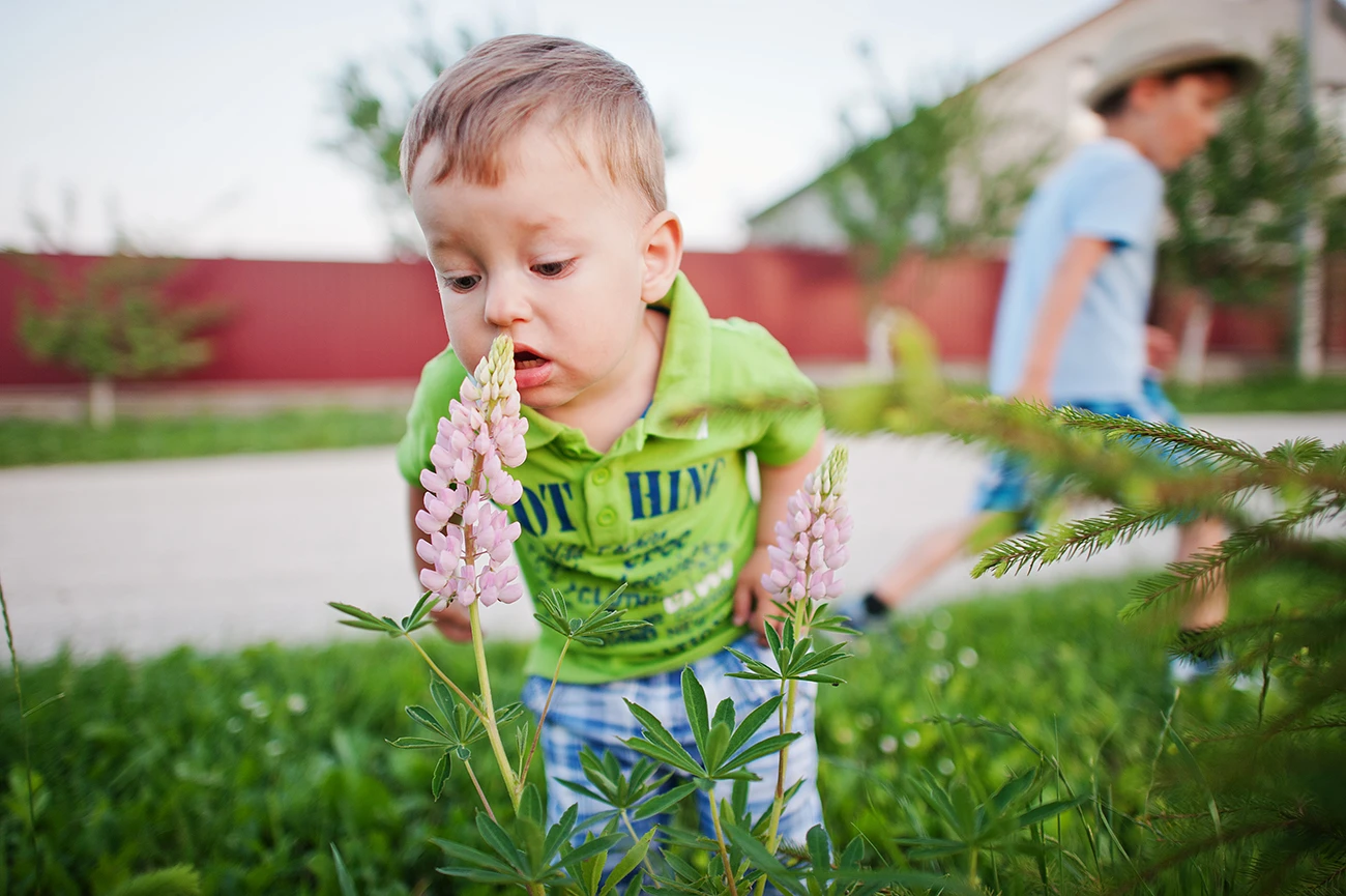 Alérgenos y niños Foto de un niño pequeño delante de una flor