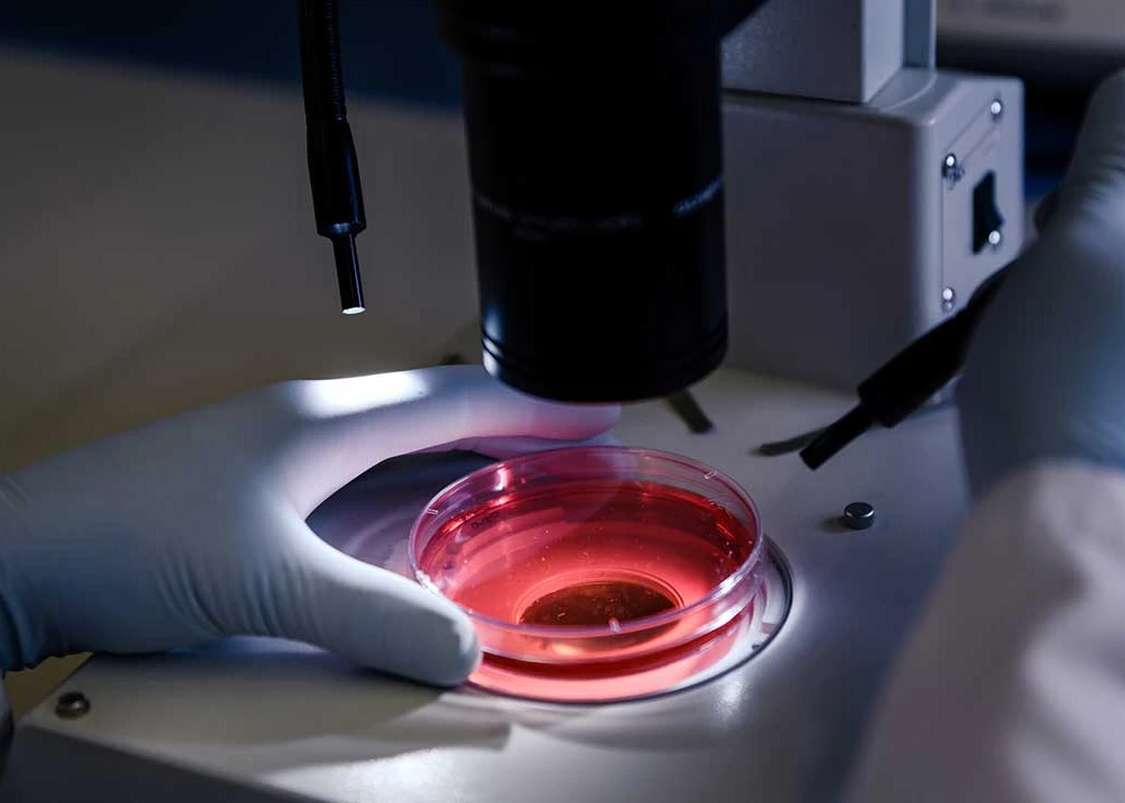 El médico de la enfermedad del ébola en el laboratorio mira bajo el microscopio